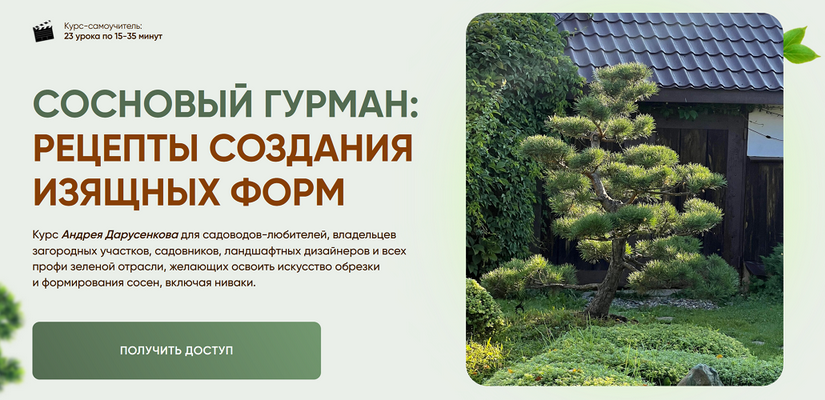 [Андрей Дарусенков] Сосновый гурман_ рецепты созда_0.png